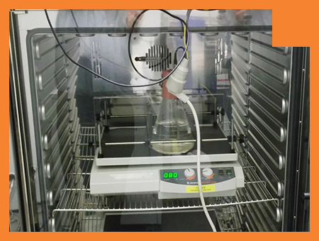 Heidolph meets Memmert