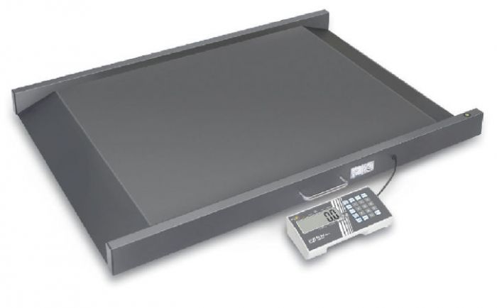 Kern MWS300K100M platformweegschaal ijkgoedkeuring 300 kg
