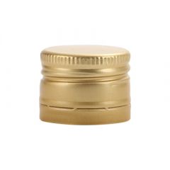 V2246 Sluiting goud