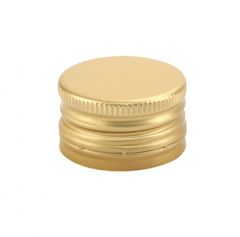 V334 Sluiting goud