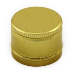 V979 Sluiting goud