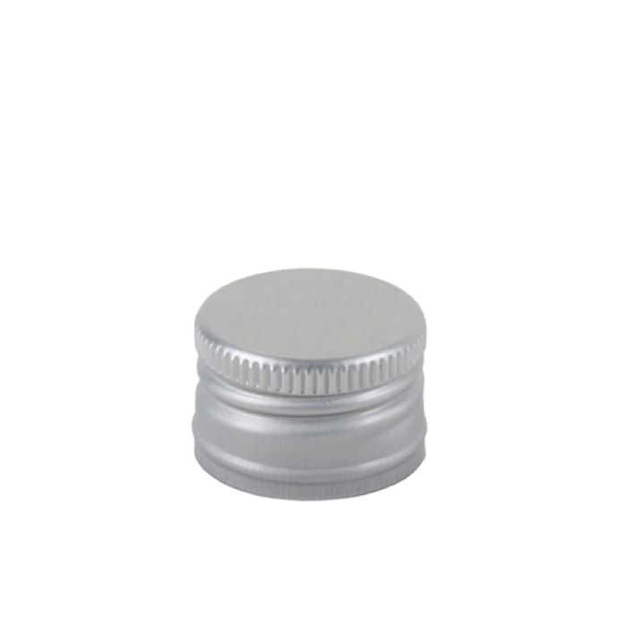 V2299 Sluiting zilver