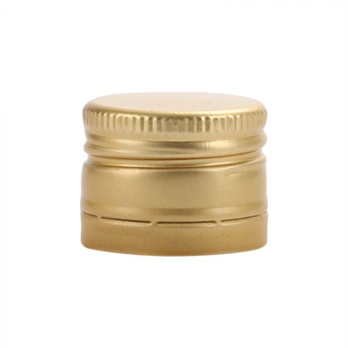 V2246 Sluiting goud
