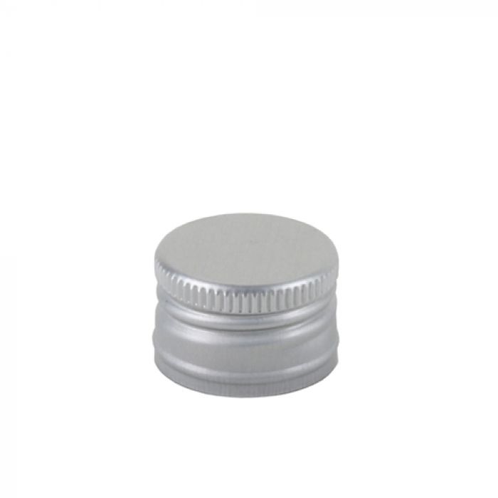 V2299 Sluiting zilver